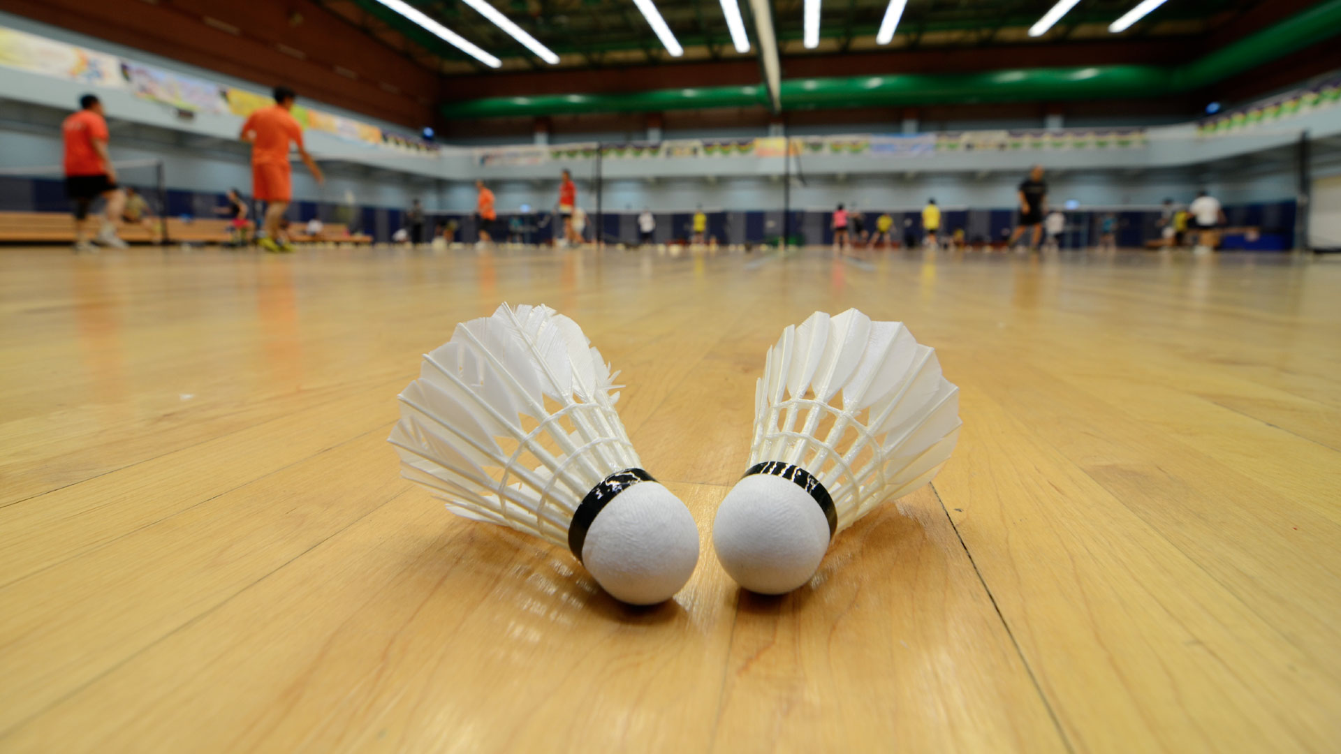 Comité du Var de Badminton